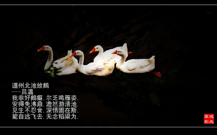 DSC07251.jpg