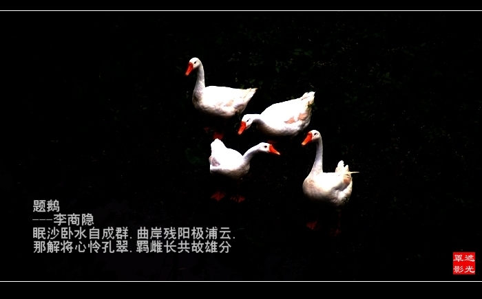 DSC07241.jpg