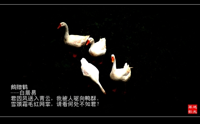DSC07245.jpg