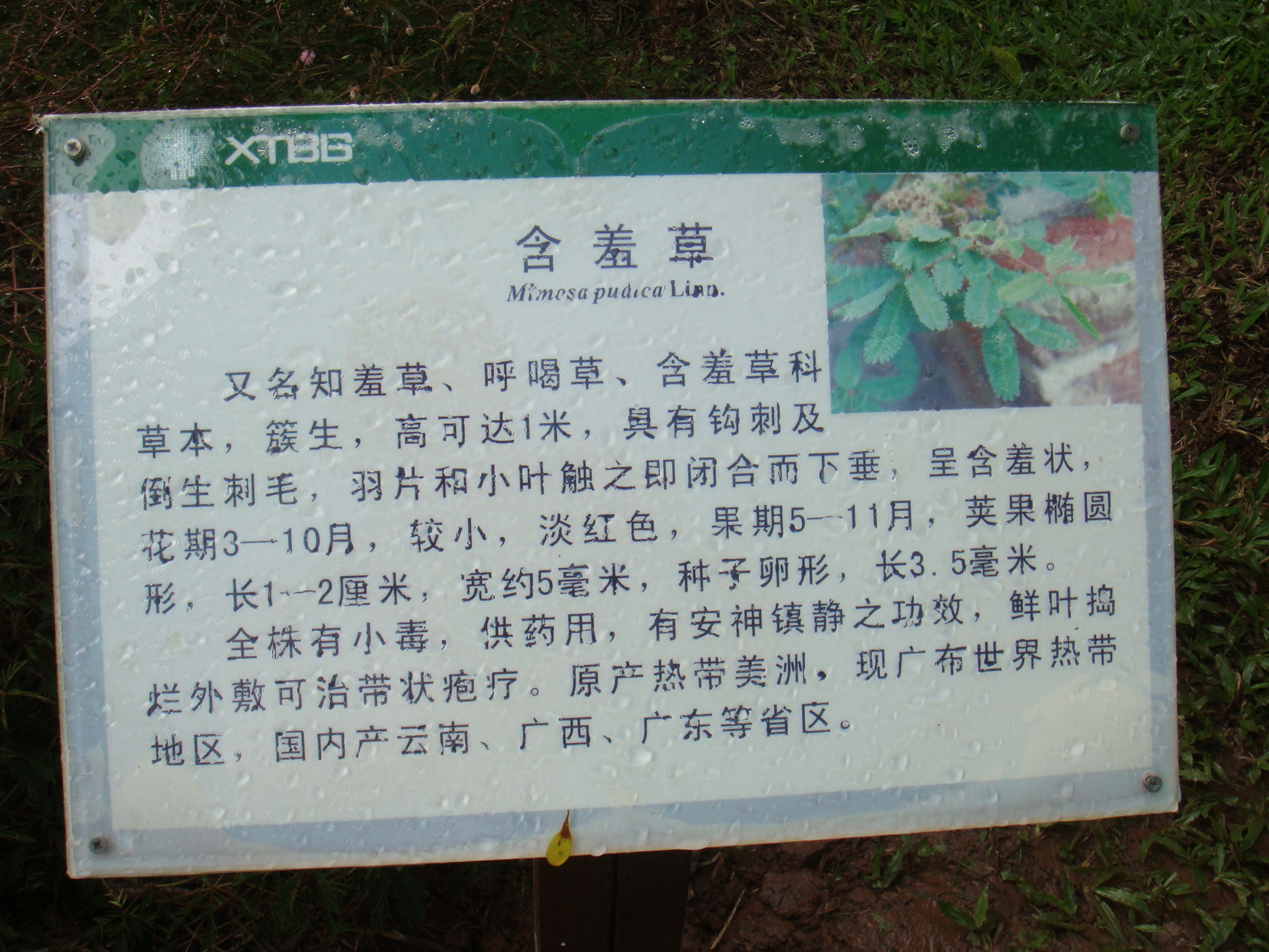 DSC02278.JPG