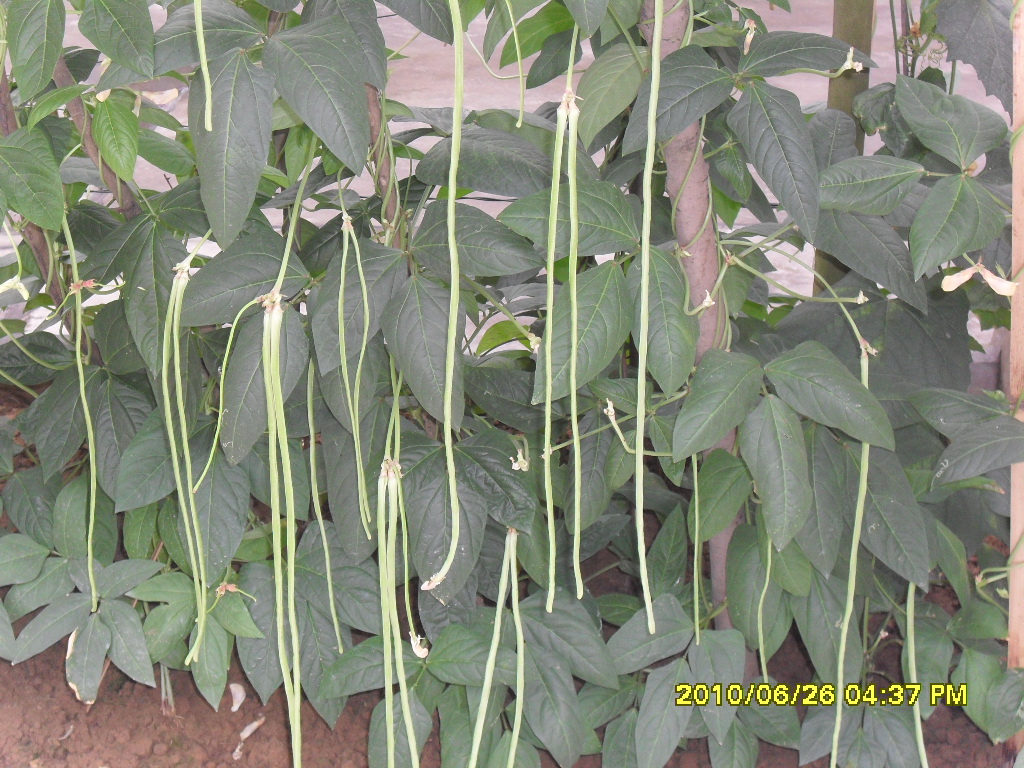 SDC13161.JPG