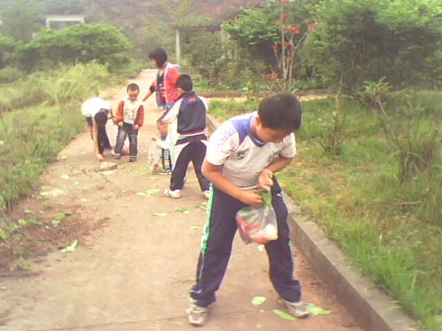 IMG0562A.jpg