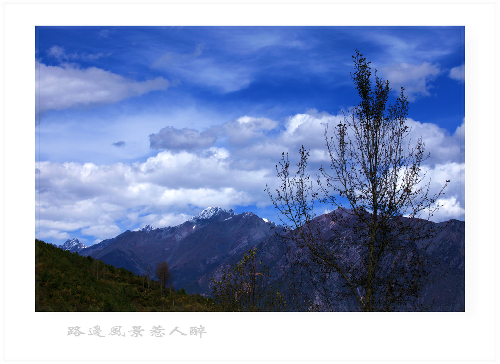 IMG_7778.jpg