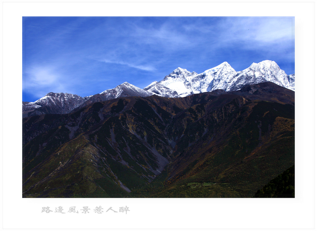 IMG_7783_neo_bak.jpg