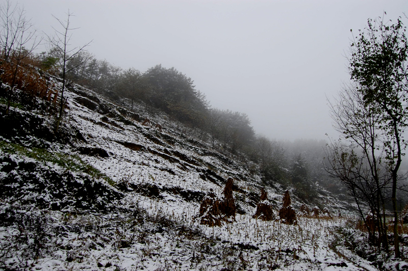 DSC_0070.JPG
