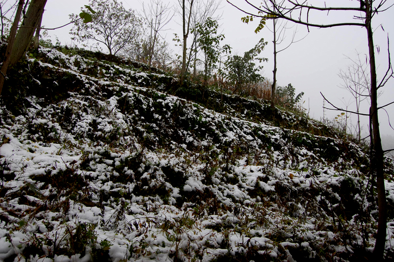 DSC_0069.JPG