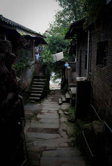 DSC_0038.jpg