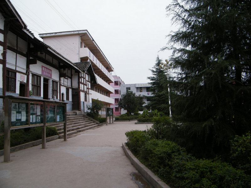 DSCF6443.jpg