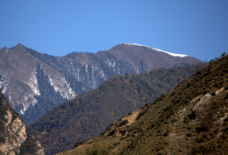 IMG_7652.jpg