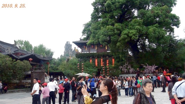DSC00405.JPG