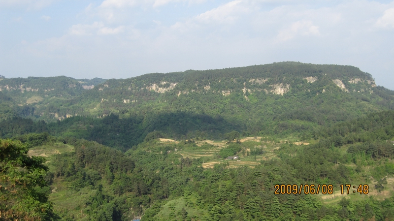 406120_1267787235Q7RR.jpg
