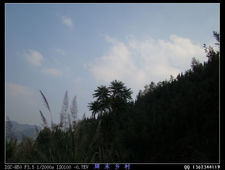 DSC01562.jpg