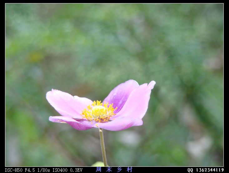 DSC01564.jpg