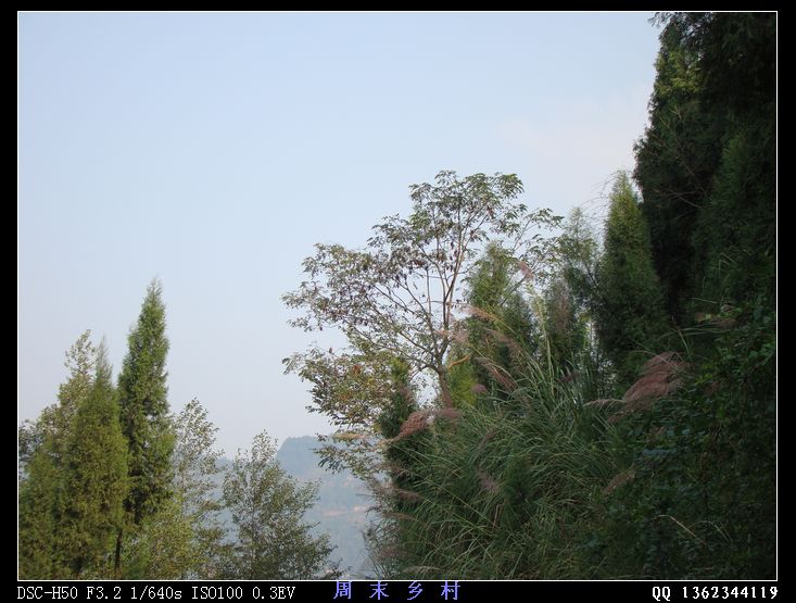 DSC01566.jpg