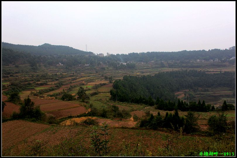 p6.jpg
