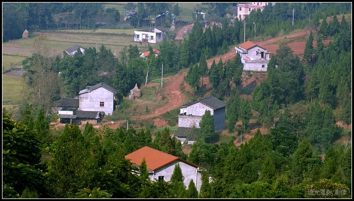 DSC07335.jpg
