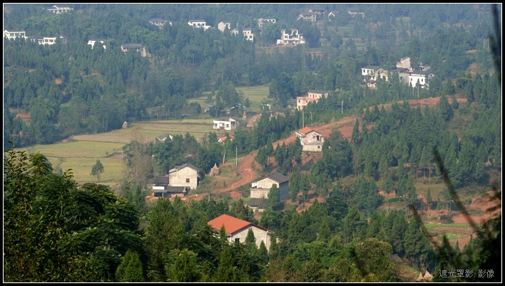 DSC07336.jpg