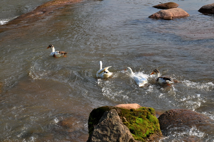 DSC_0056_С.jpg