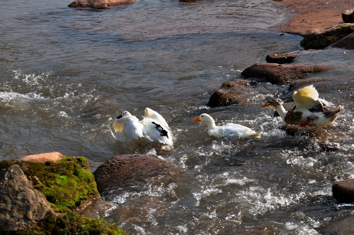 DSC_0055_С.jpg
