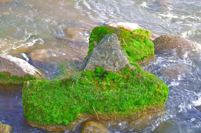 DSC_0100_С.jpg