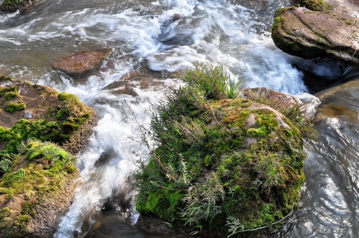 DSC_0110_С.jpg