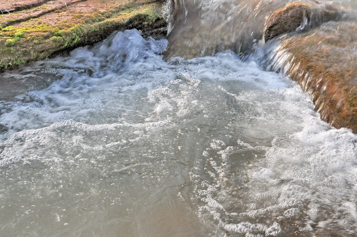 DSC_0109_С.jpg