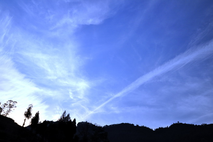 DSC_0173_С.jpg