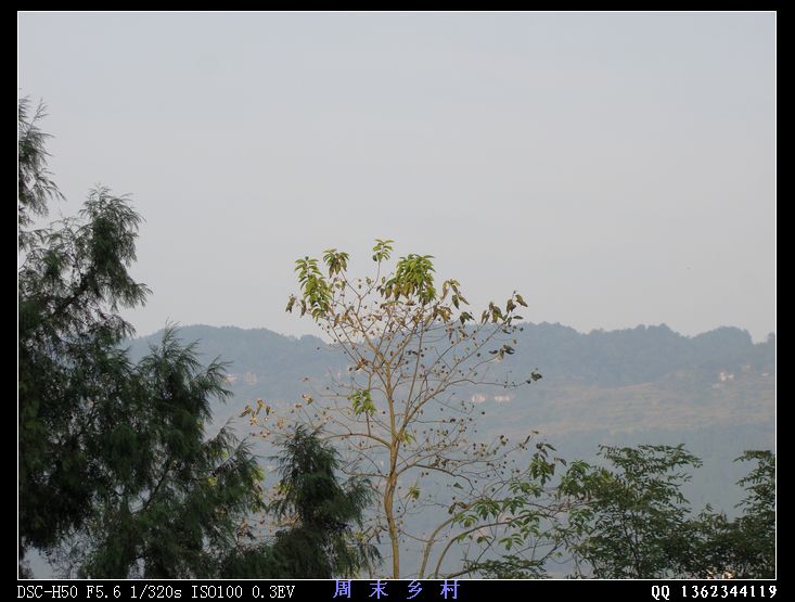 DSC01632.jpg