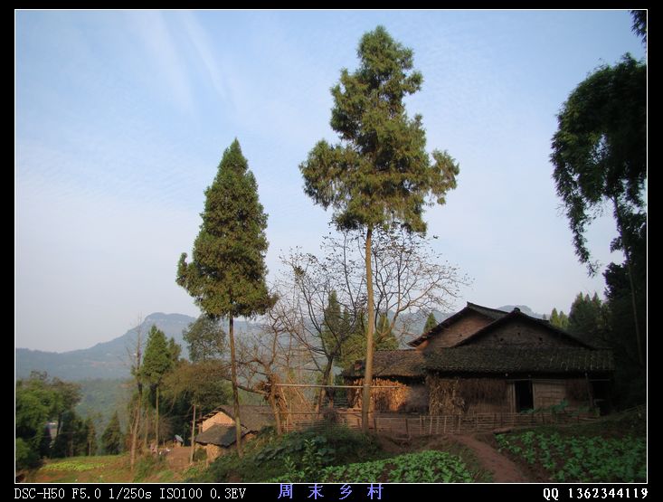 DSC01639.jpg