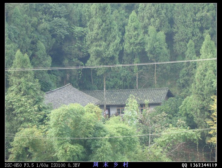 DSC01640.jpg