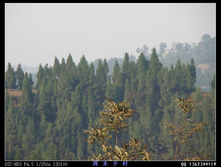DSC01649.jpg