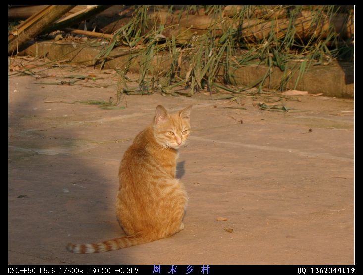 DSC01664.jpg