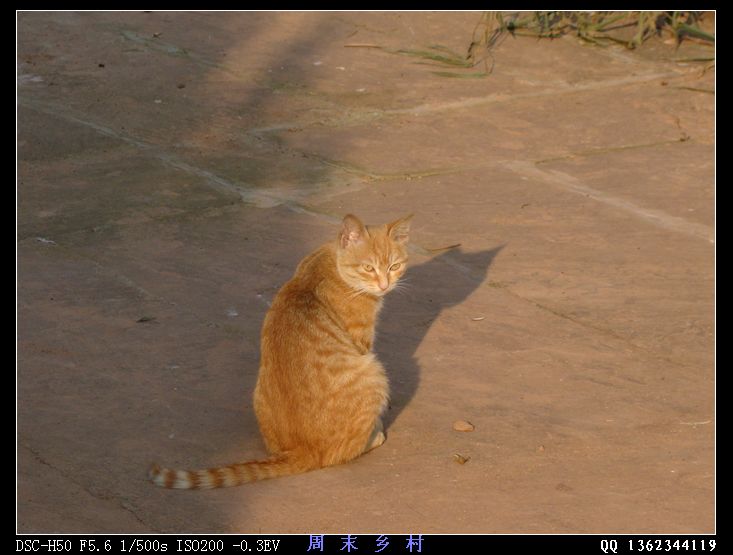 DSC01663.jpg