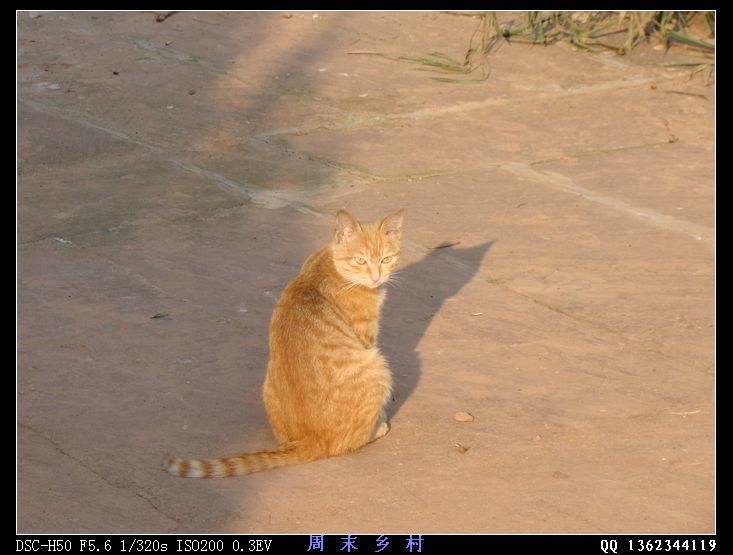 DSC01662.jpg