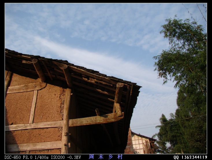 DSC01670.jpg