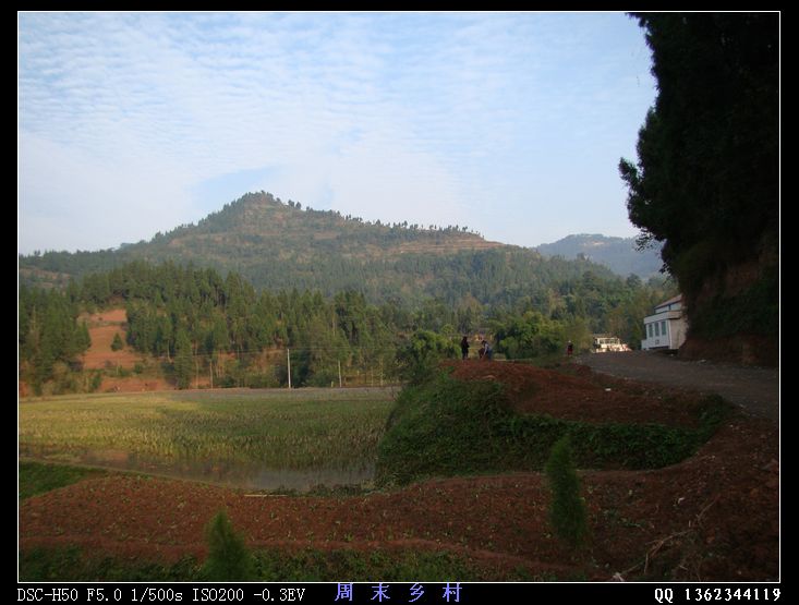 DSC01684.jpg