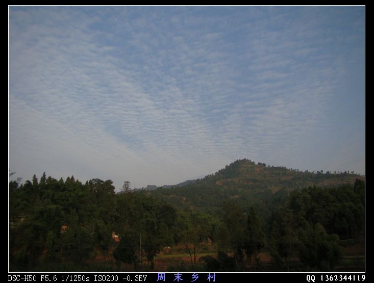 DSC01686.jpg