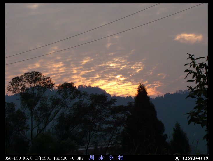 DSC01691.jpg