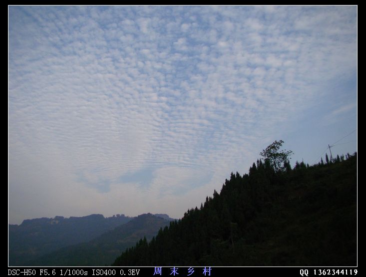 DSC01689.jpg