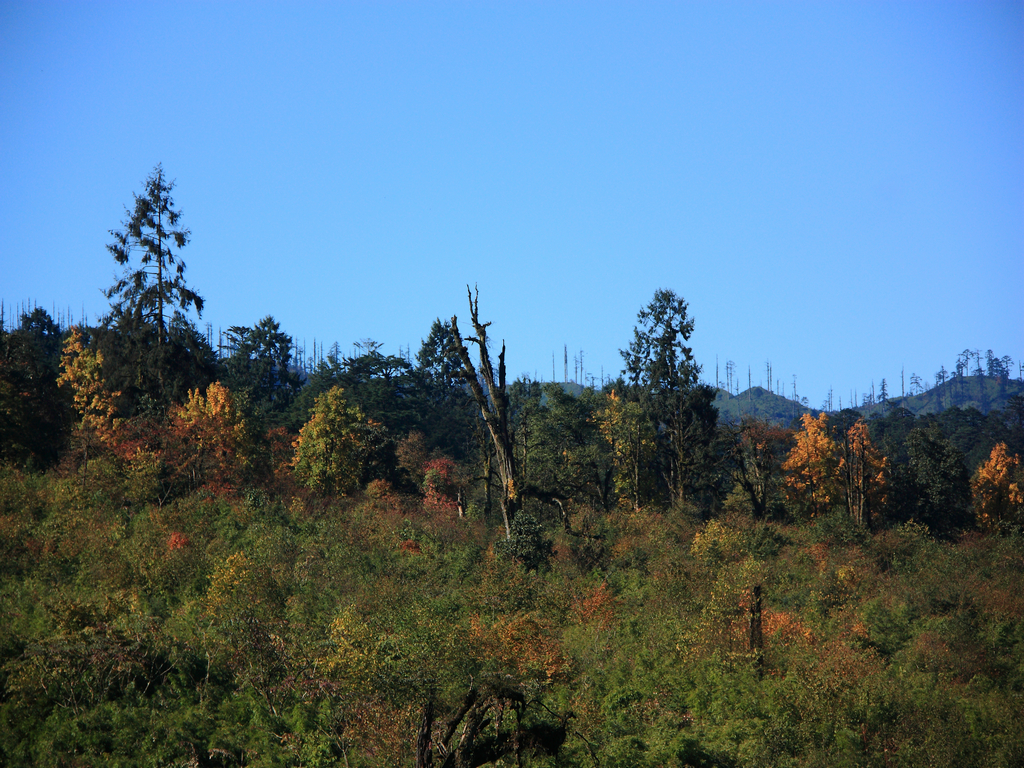 IMG_0003_1.jpg