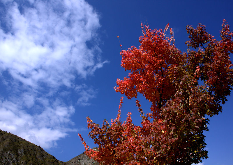 _MG_7721.jpg