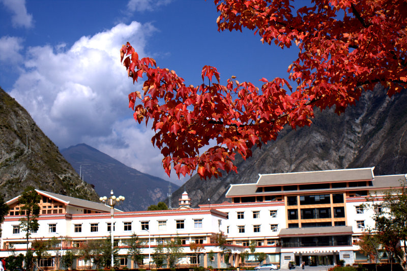 _MG_7723.jpg