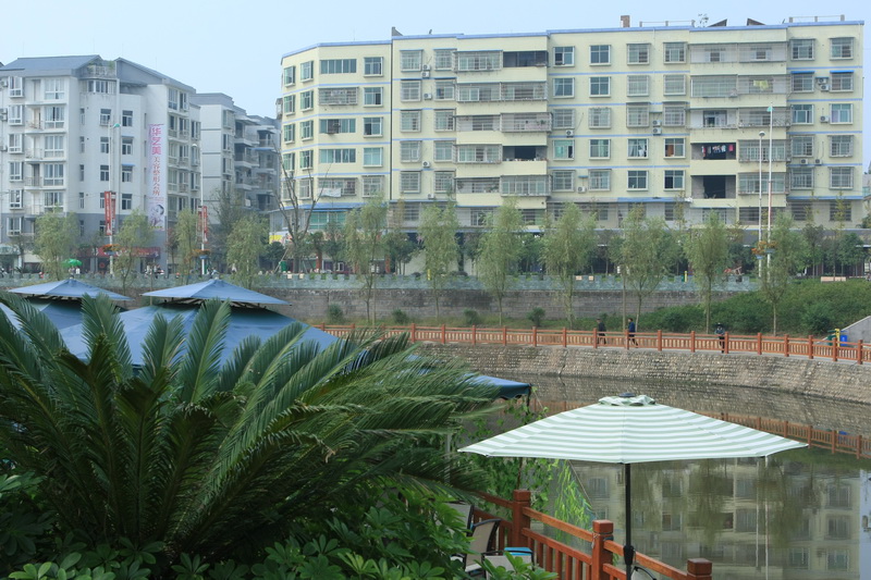 535O9659.jpg