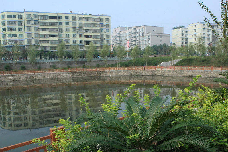 535O9654.jpg