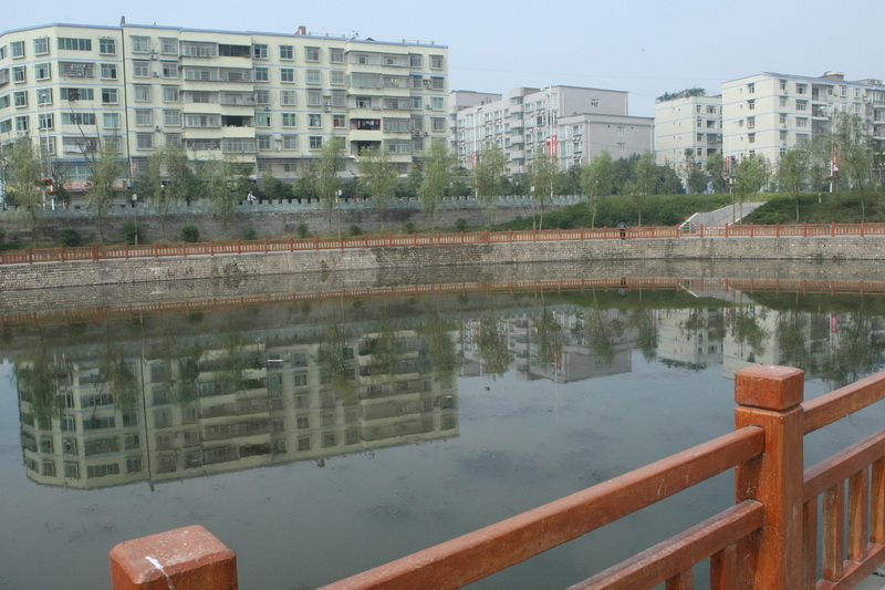 535O9652.jpg