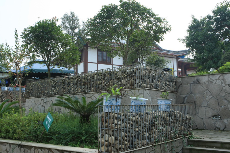 535O9662.jpg