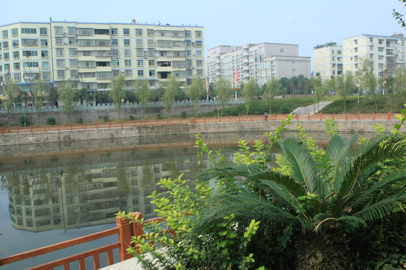 535O9653.jpg