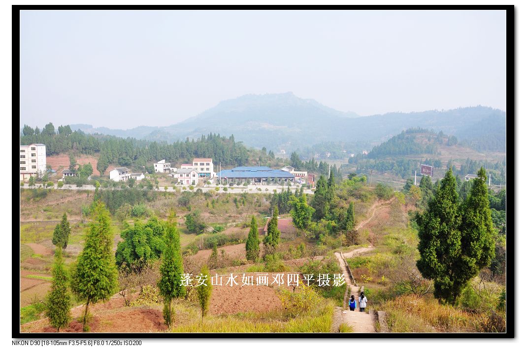 2010115Ƭ 187.jpg