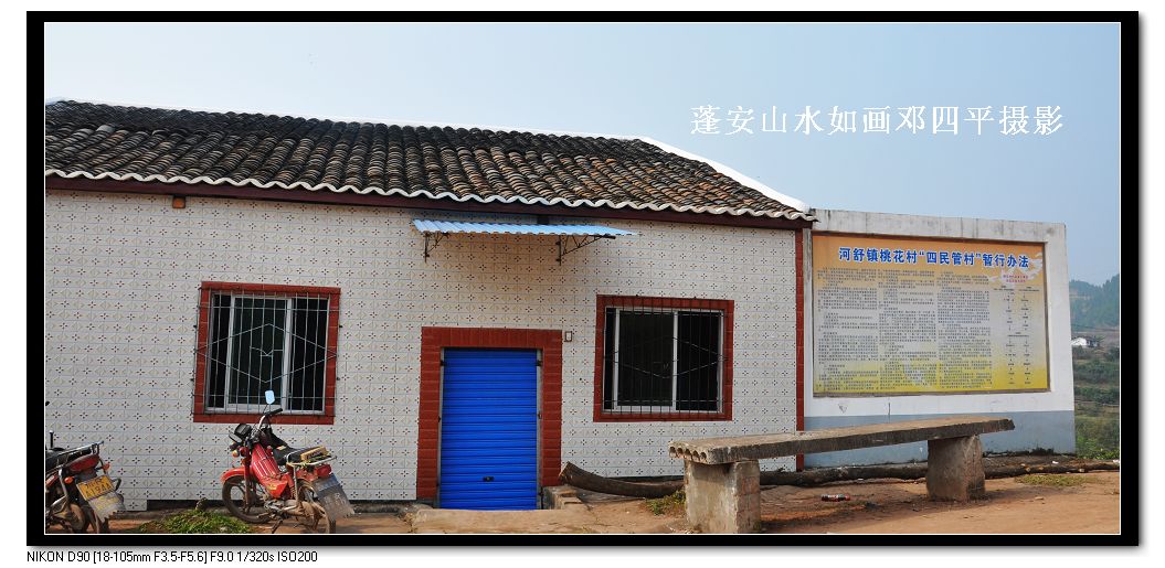 2010115Ƭ 187.jpg
