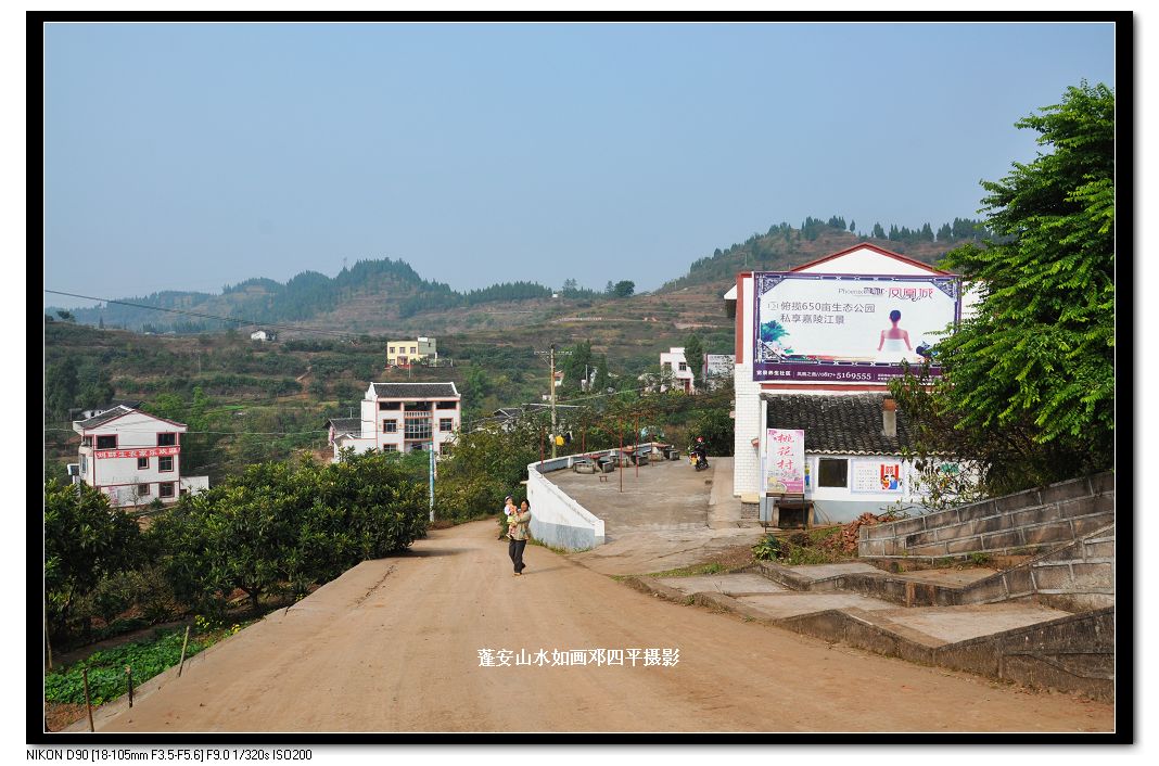 2010115Ƭ 187.jpg